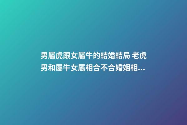 男屬虎跟女屬牛的結婚結局 老虎男和屬牛女屬相合不合婚姻相配嗎